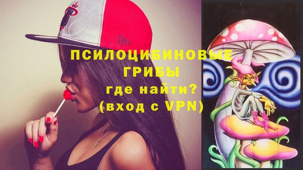 бошки Медногорск